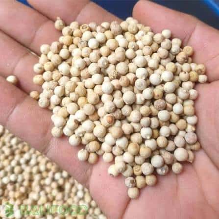 White Pepper — 3