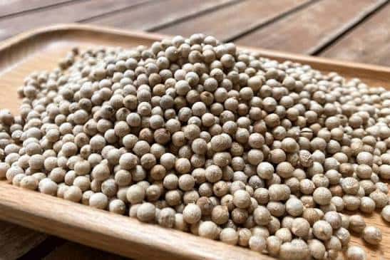 White Pepper — 4