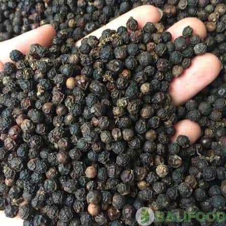 Black Pepper — 4