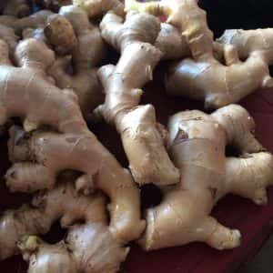 FRESH GINGER — 2