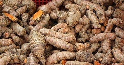 Fresh Turmeric — 2