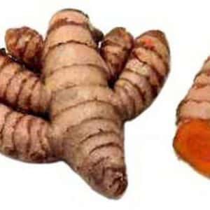 Fresh Turmeric — 4