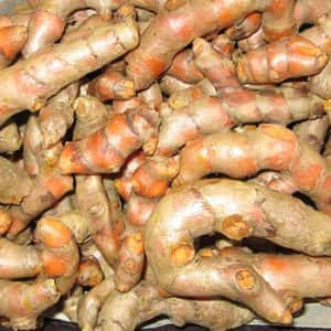 Fresh Turmeric — 5