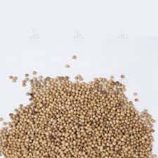 White Pepper - DOUBLE WASHED 620-630 G/L — 2