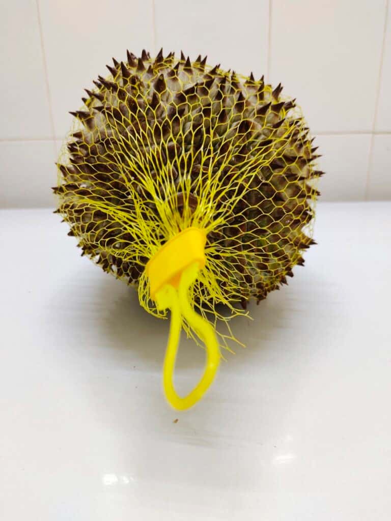 Durian — 1