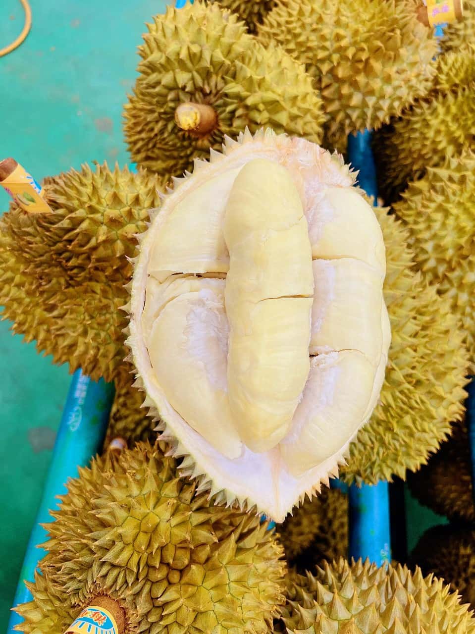 Durian — 5