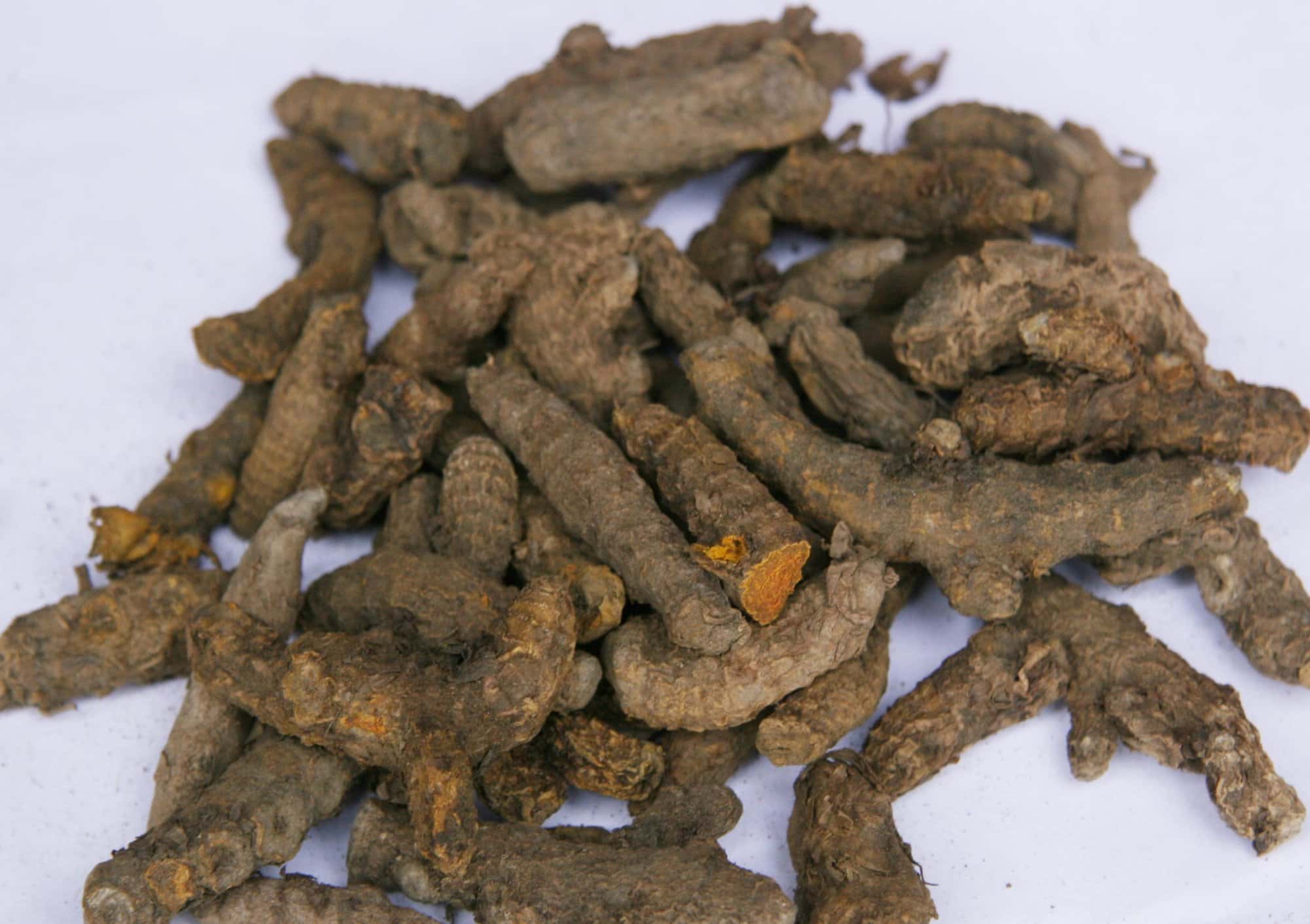 ​​​​​​​​​​​​​​​​​Polished/Unpolished Turmeric Fingers — 2