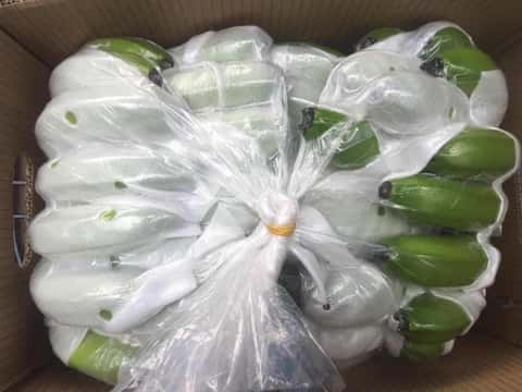 Chuối đạt tiêu chuẩn xuất khẩu — 3