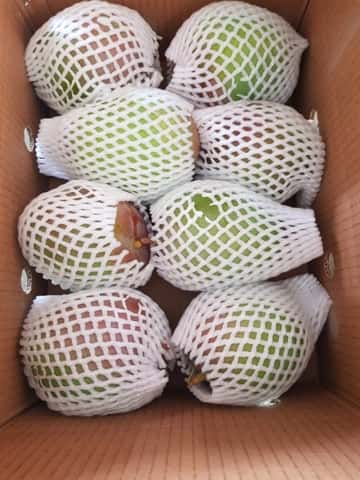 Xoài Việt Nam cao cấp — 2