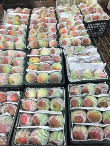 Xoài Việt Nam cao cấp — 3