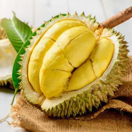Sầu riêng Đồng bằng sông Cửu Long — 3