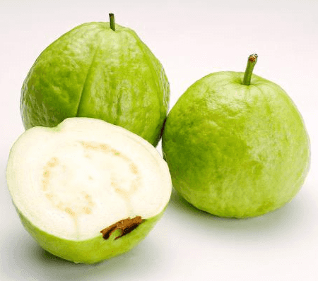 Ổi ruột trắng Việt Nam — 1