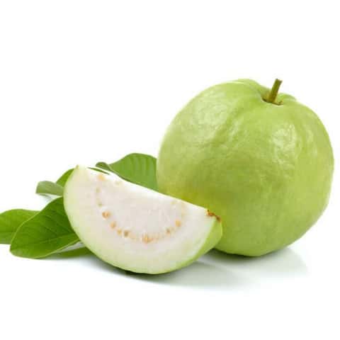 Ổi ruột trắng Việt Nam — 4