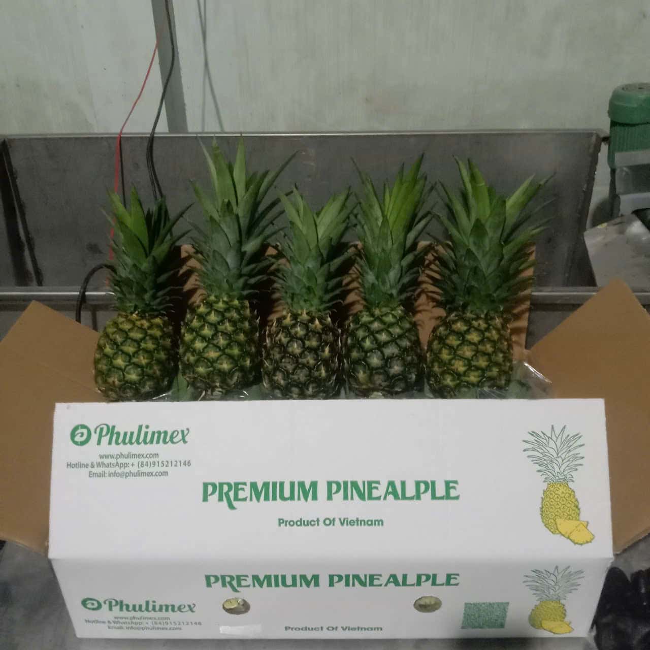 PINEAPPLE MD2 — 2