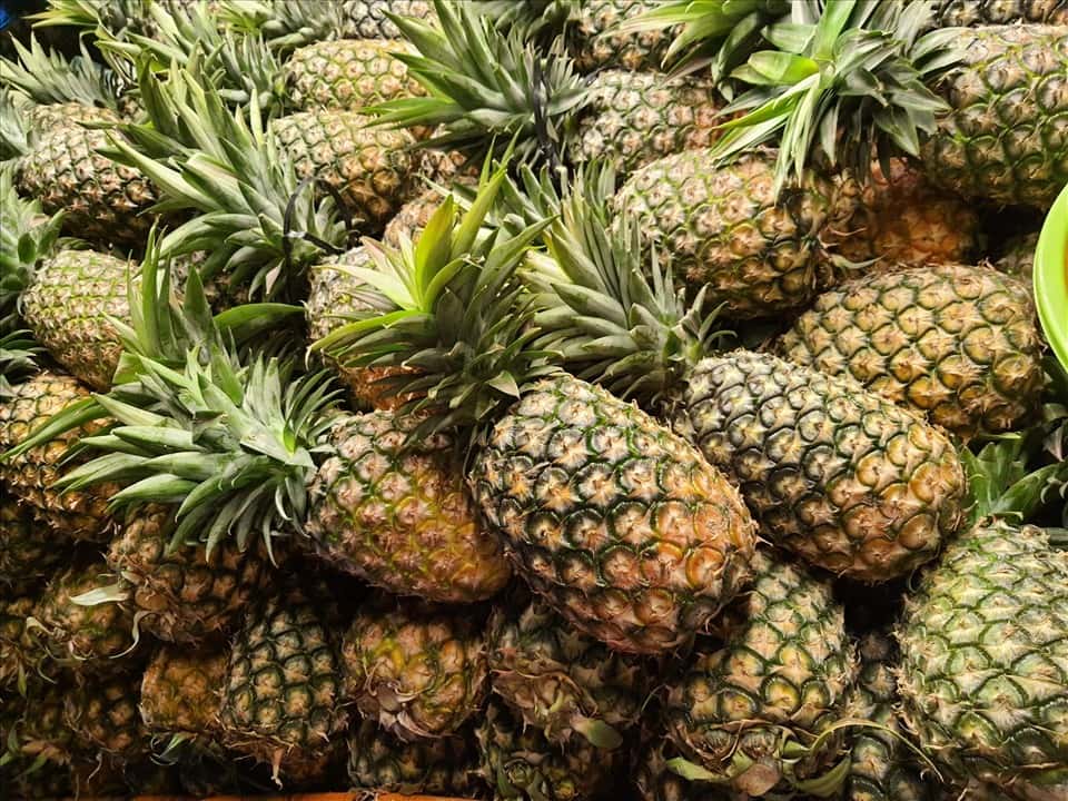 Pineapple MD2 — 2