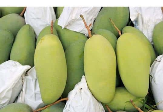 Xoài Việt Nam cao cấp — 1