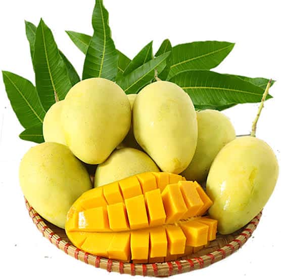 Xoài Việt Nam cao cấp — 5