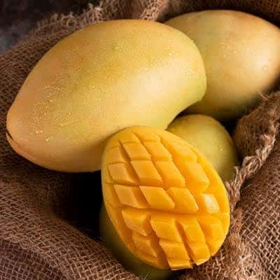 Xoài Việt Nam cao cấp — 6