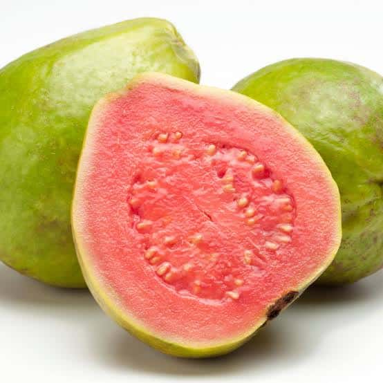 Ổi Việt Nam cao cấp — 3