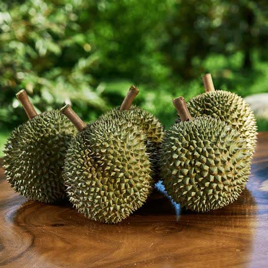 Sầu riêng cao cấp - Vua của các loại trái cây — 1