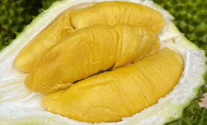 Sầu riêng cao cấp - Vua của các loại trái cây — 3