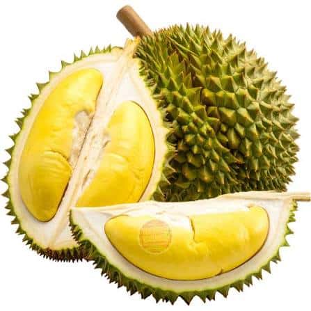 Sầu riêng cao cấp - Vua của các loại trái cây — 4