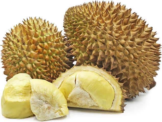 Sầu riêng cao cấp - Vua của các loại trái cây — 5