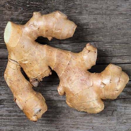 Premium Vietnamese Turmeric — 2