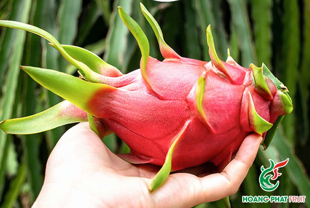 White dragon fruit — 1