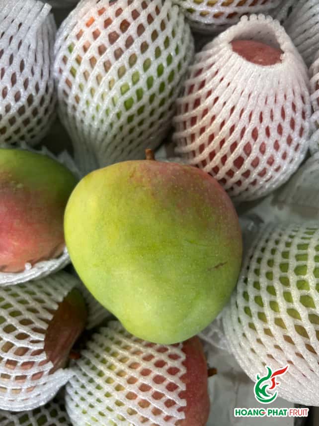 R2E2 Mango — 2