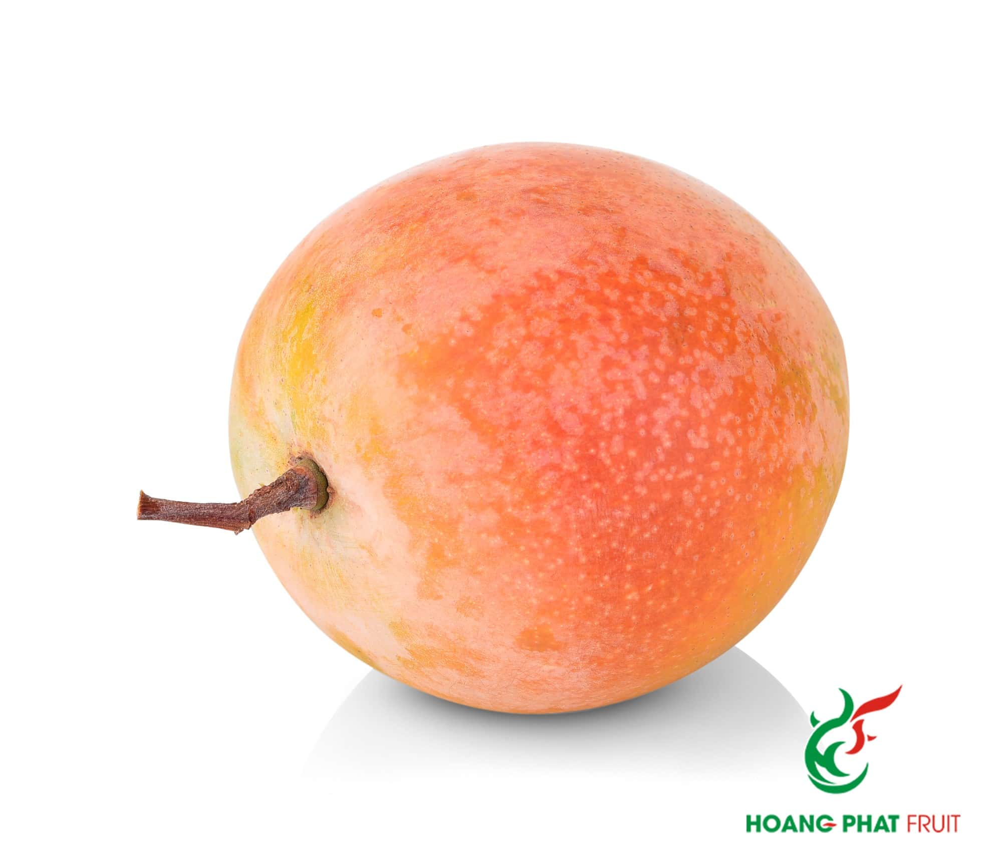 R2E2 Mango — 4