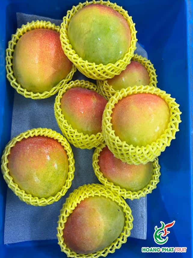 R2E2 Mango — 5