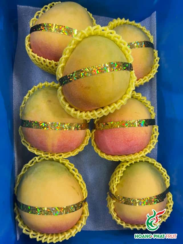 R2E2 Mango — 6
