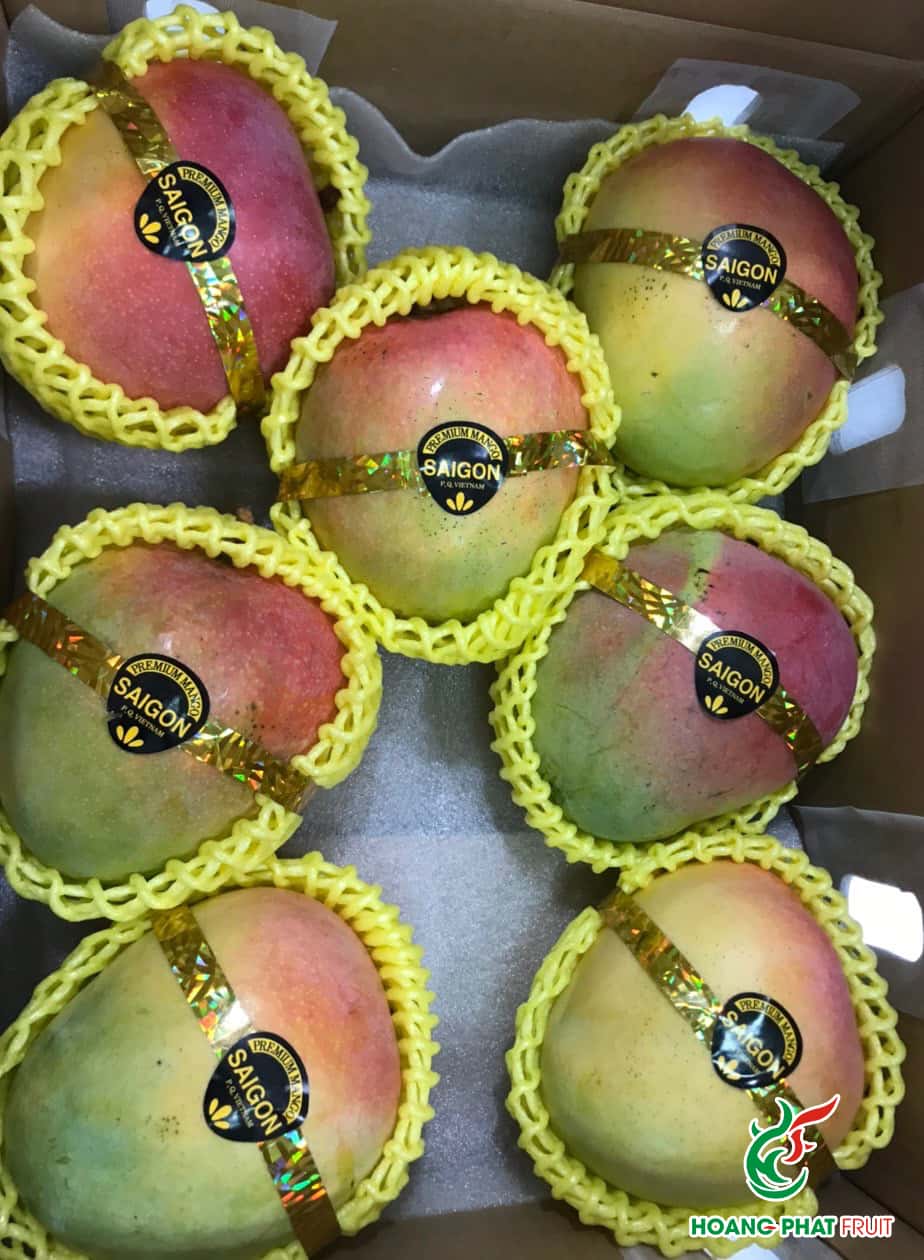 R2E2 Mango — 7