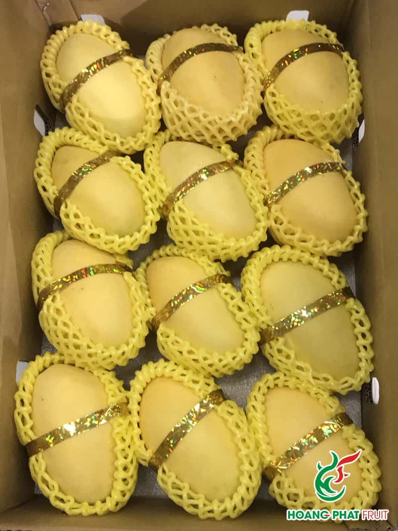 Keo Mango — 6