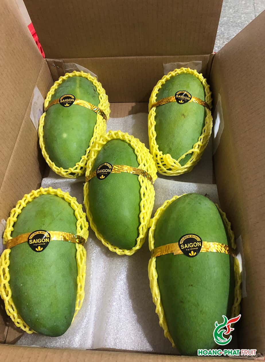 Elephant Mango — 7