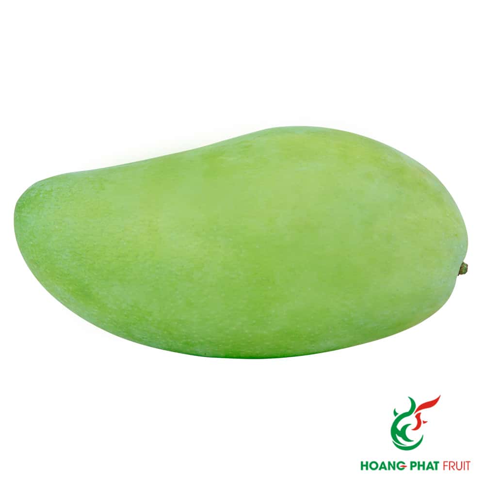 Elephant Mango — 9