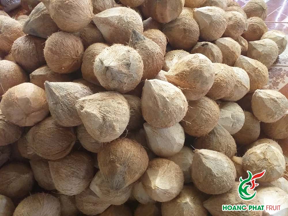 Coconut — 3
