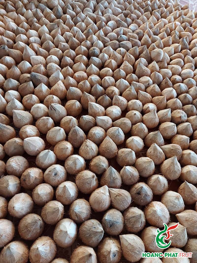 Coconut — 4