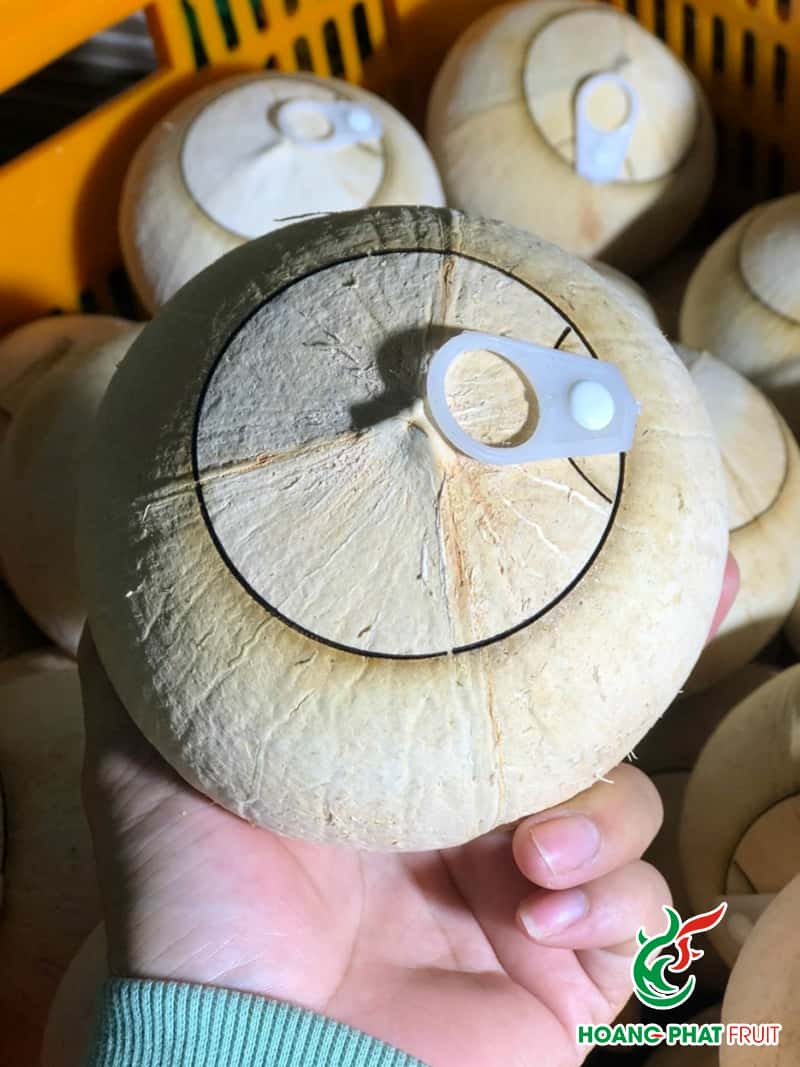 Coconut — 6