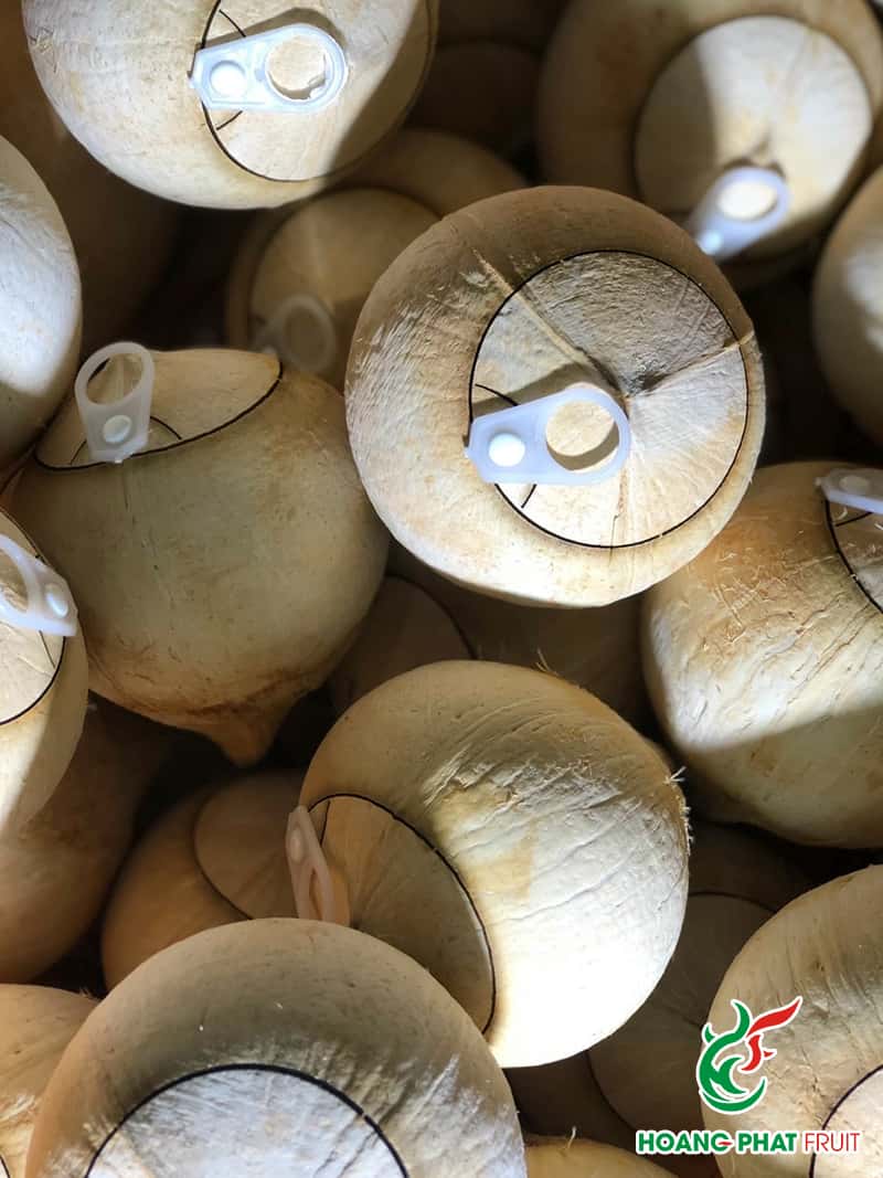 Coconut — 2