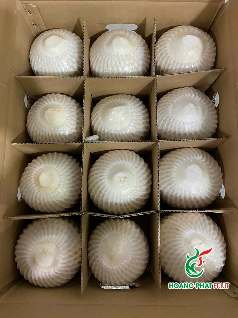 Coconut — 1