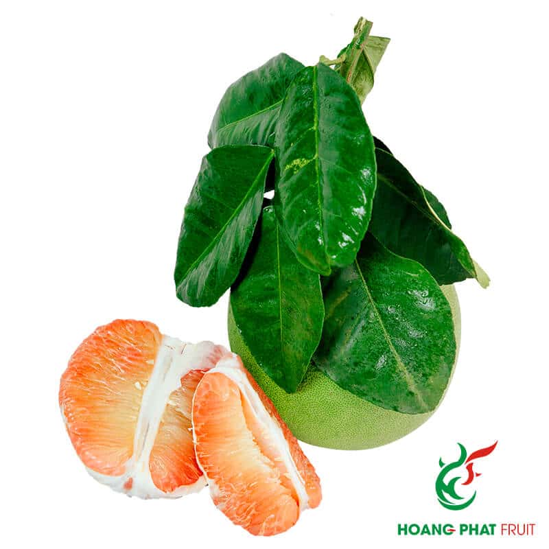 Pomelo — 4
