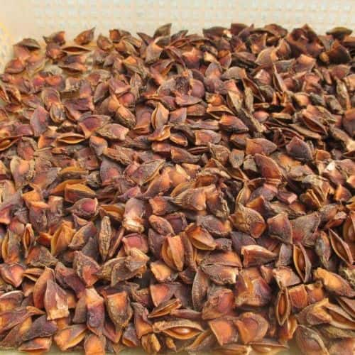 Hoa hồi Việt Nam cao cấp - Vụ xuân & vụ thu (Nguyên hoa/Vỡ) — 5