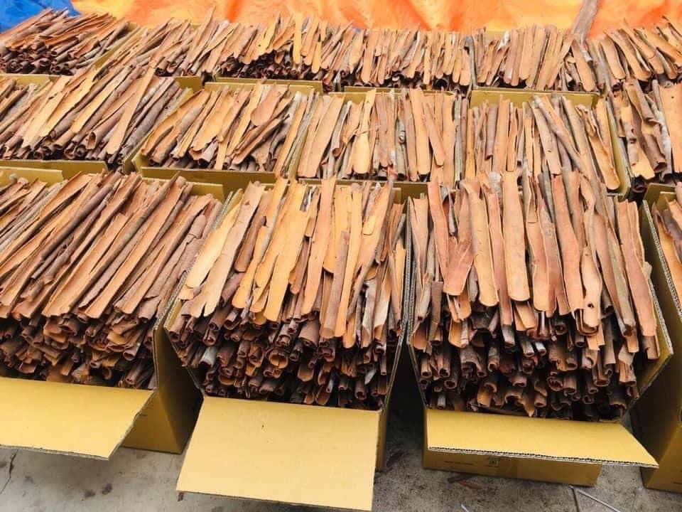 Quế Việt Nam cao cấp - Quế ống/ tách/ cắt/ mảnh vỡ — 7