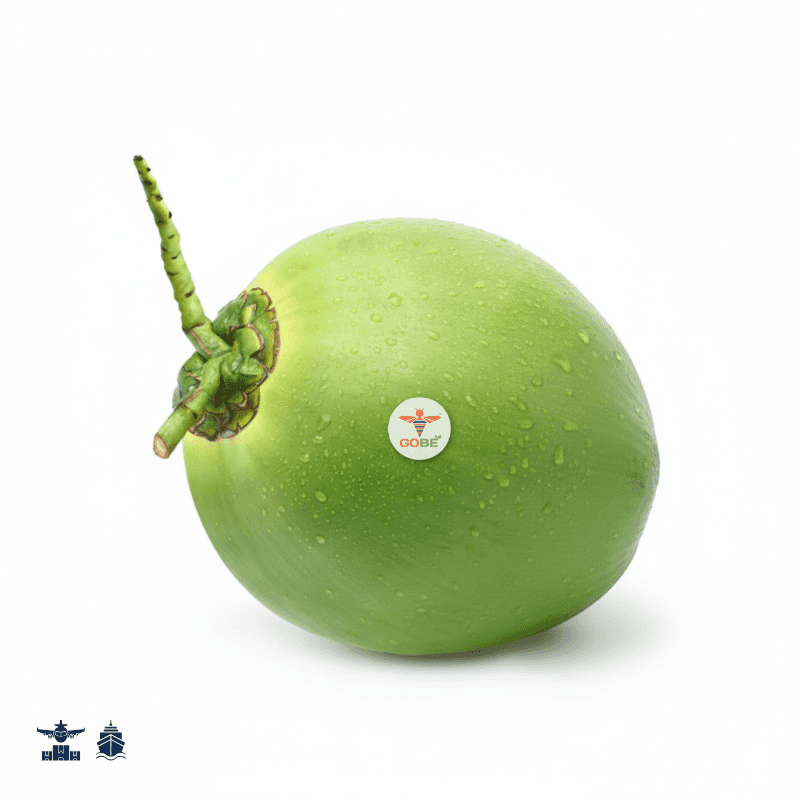 Young Coconut (Whole, Half Green, Diamond, Easy Open, and Polish) — 1
