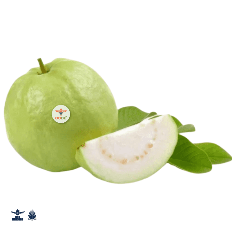 Guava (Red/White Flesh) — 2