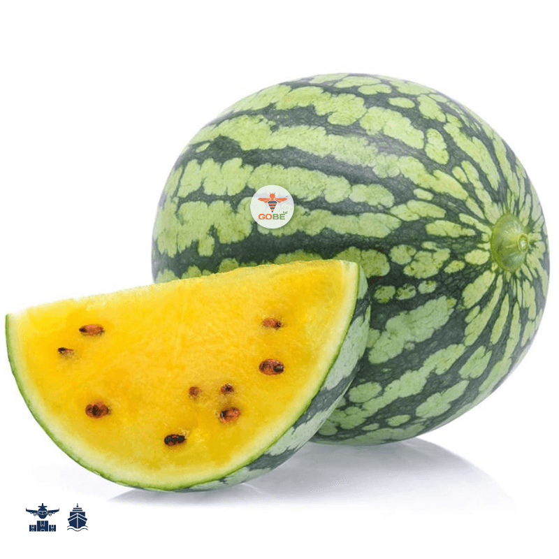 Watermelon (Red/Yellow) — 2