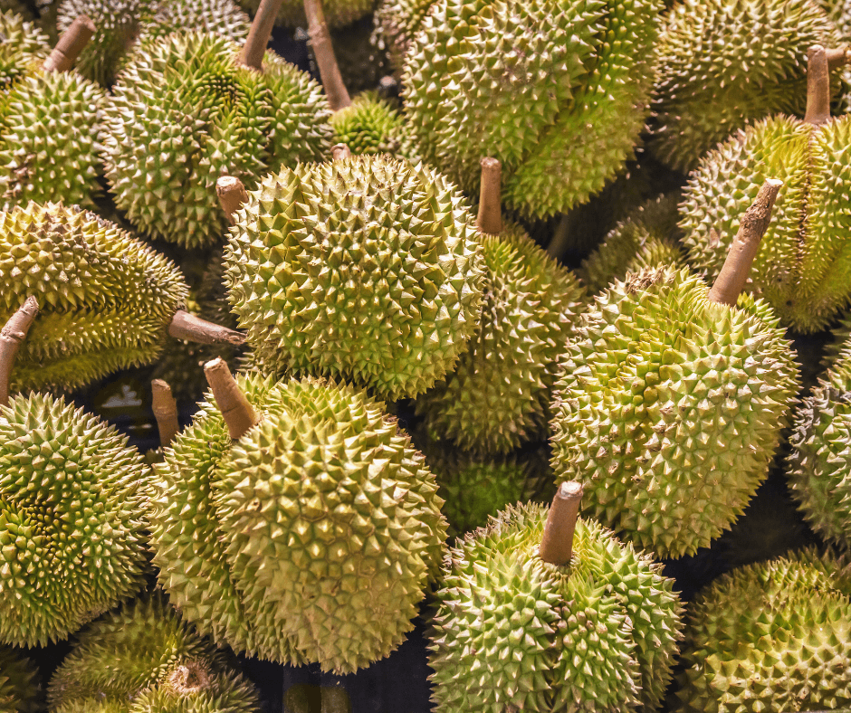 Vietnamese Durian — 1