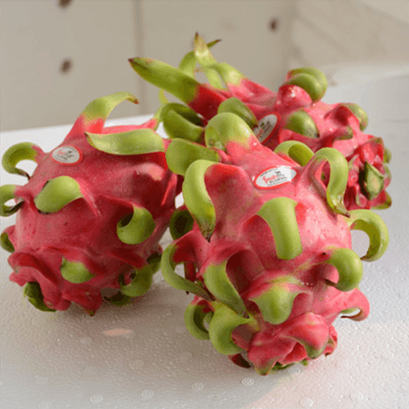 Fresh Dragon fruit (Red/White) — 4